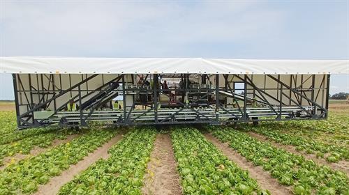 Soll weiterentwickelt werden: Eine aktuelle Salaterntemaschine der Josef Zeyer Stahlbau Agrarsysteme GmbH im Feldeinsatz